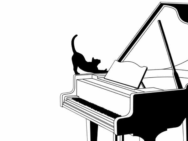 Black cat on Grand piano promoting Hiromelody Piano concert